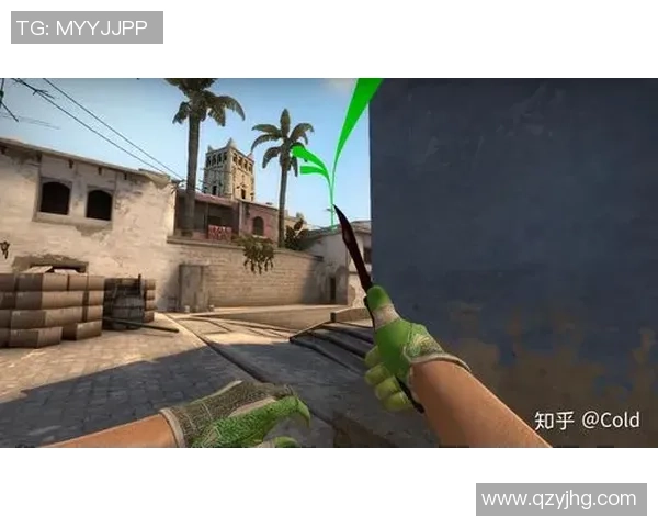 CSGO专题分析：深入探讨V5选手的个人技术与战术素养