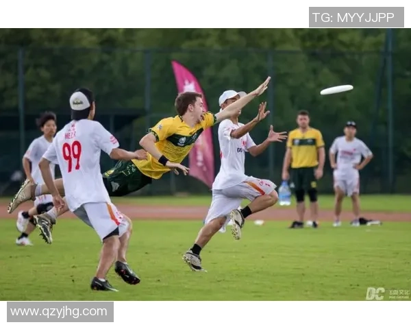 南京飞盘队比赛经验分享与战术分析探讨之旅 南京飞盘队比赛经验分享与战术分析探讨之旅