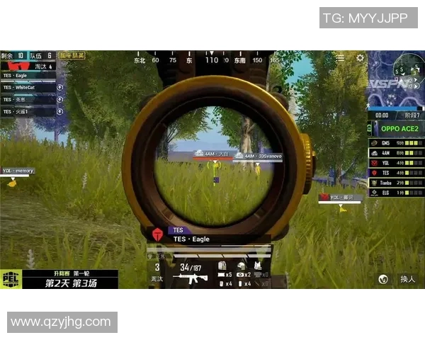 和平精英赛事分析:FPX战队运营策略的成功与不足之处探讨 和平精英赛事分析:FPX战队运营策略的成功与不足之处探讨